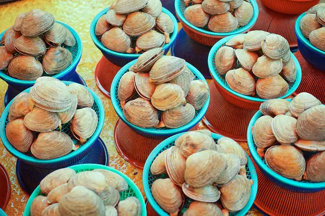 Marché aux poissons de Busan Jagalchi